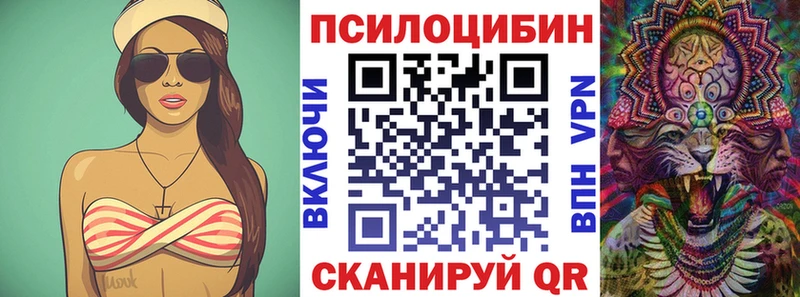 наркотики  Саки  Псилоцибиновые грибы Psilocybe 